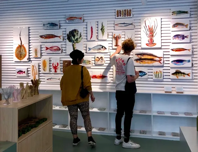 collection of Stigerwoods work