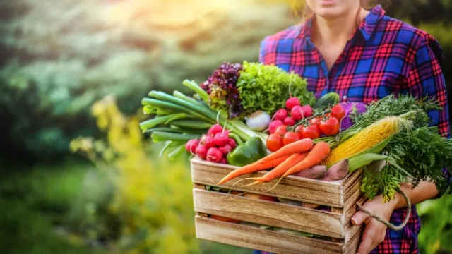 vrouw met groenten uit de moestuin
