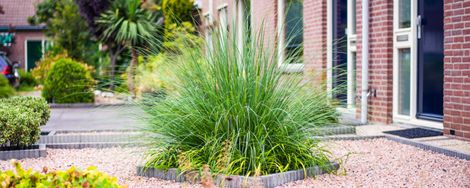 Make the Most of Your Front Garden