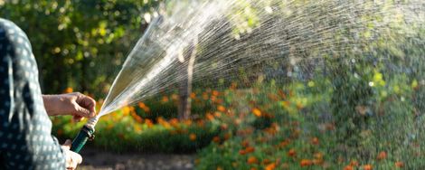 Which Garden Pump to Choose?
