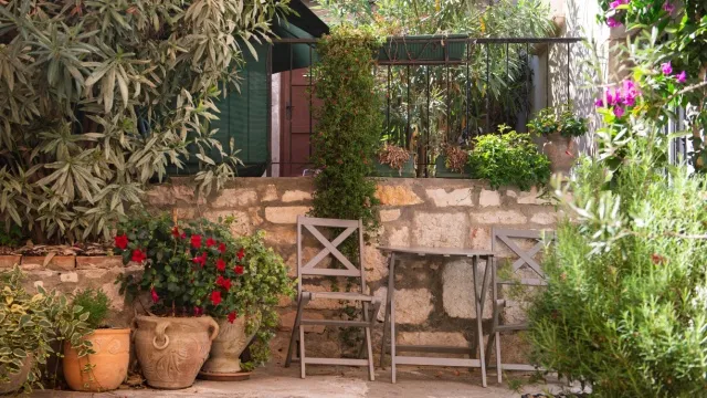 Mediterrane tuin