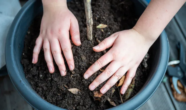 woman presses soil into pot