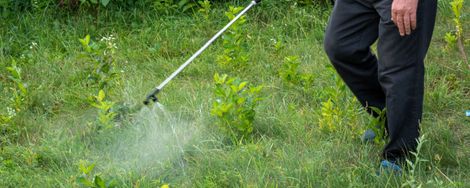 Spraying Weed Killer in the Garden