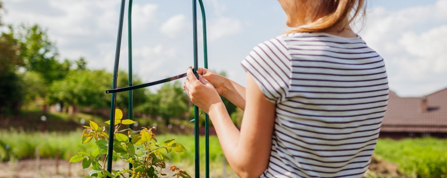 Tips for plant supports