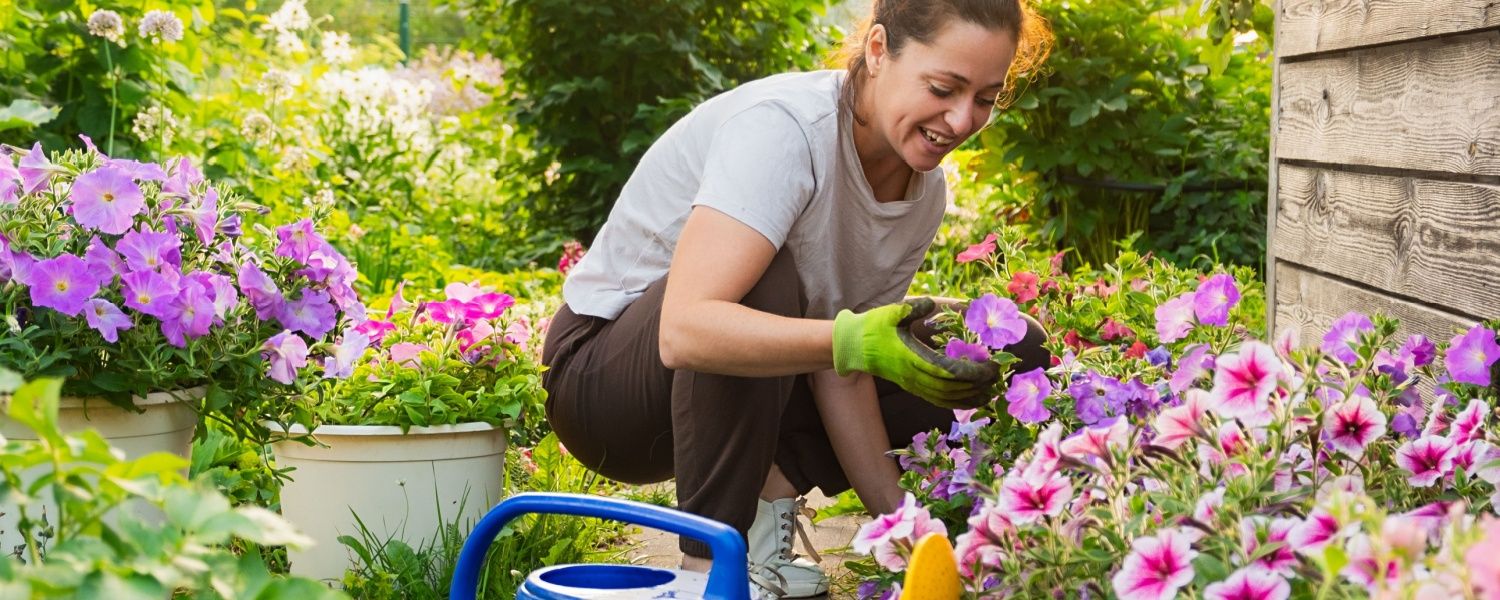 10 hoogzomer tuintips