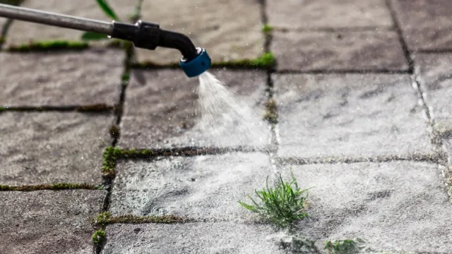 man sproeit onkruidverdelger op terras
