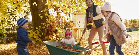 Nuttige tuingereedschappen voor de herfst