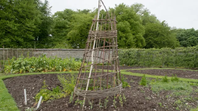 wigwam of pruned wood