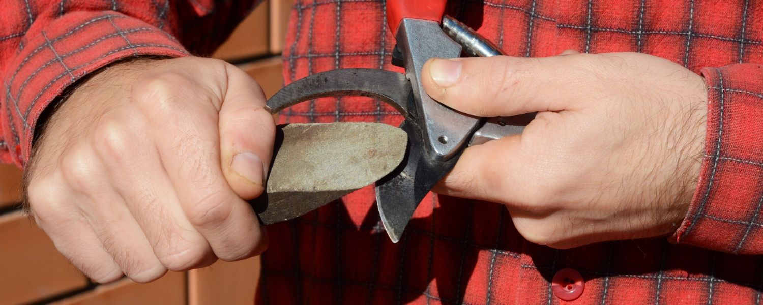Sharpening your pruning shears