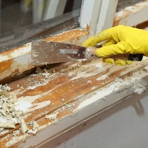 removing paint with a paint scraper