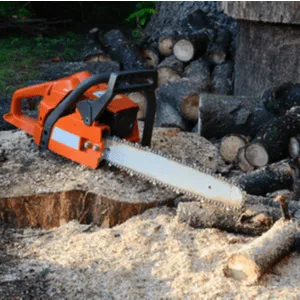 kettingzaag en stammetjes haardhout