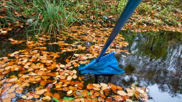 vijver schoonmaak in herfst