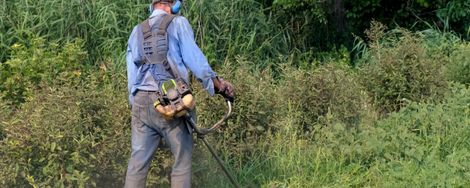 Werken met de bosmaaier: zo doe je het veilig en efficiënt