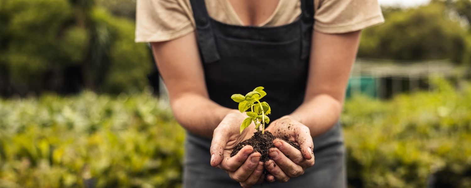 Tips voor het aanleggen van een zelfvoorzienende tuin