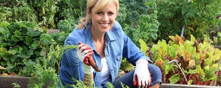 Which garden jobs should you do in April?