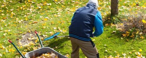 Garden jobs in November