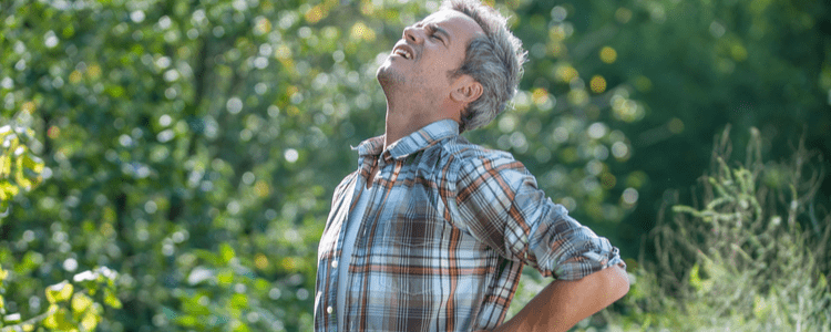 Back-friendly gardening