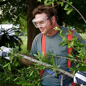 man with safety glasses pruning branches