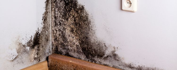 Vochtproblemen in huis: oorzaken en oplossingen