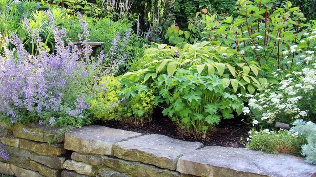 verhoogde tuinborder