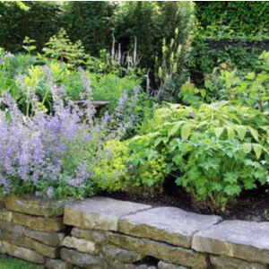 raised flower border