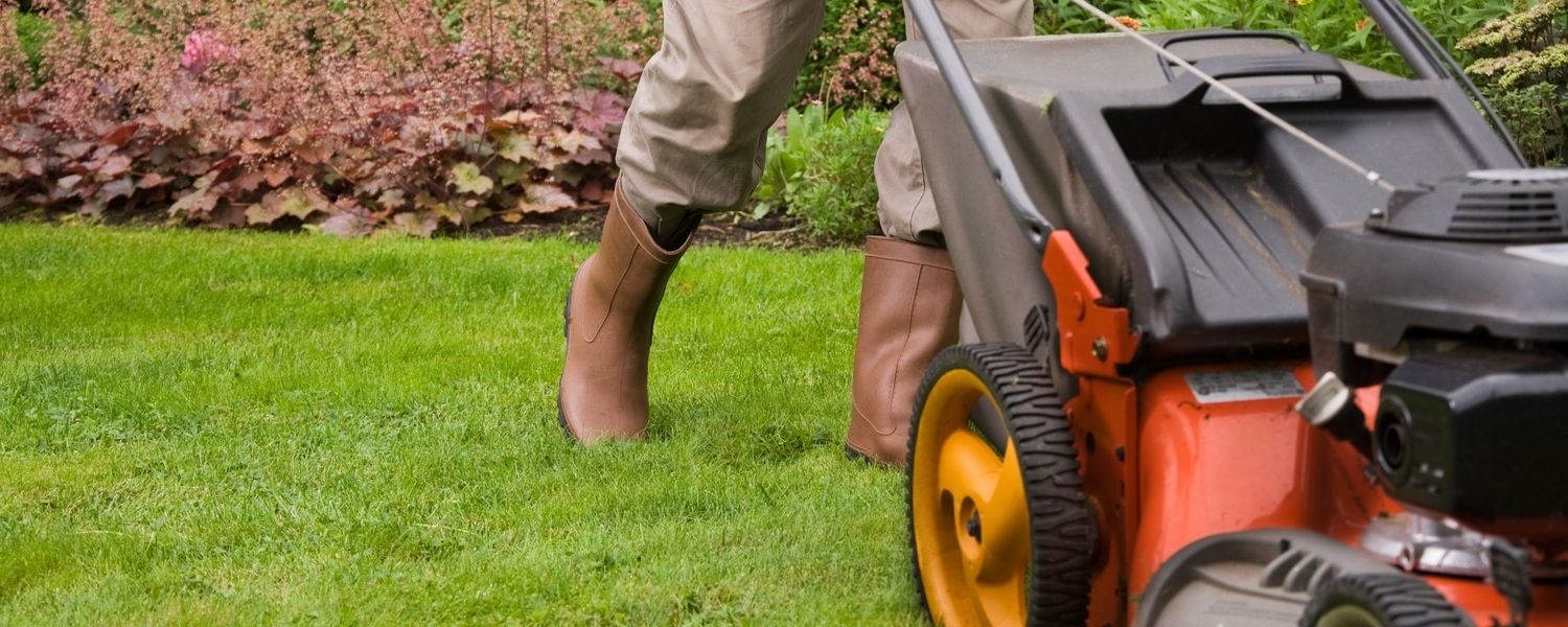 Tips for buying garden tools