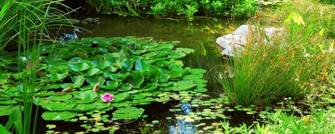 How to make a garden pond with pond liner