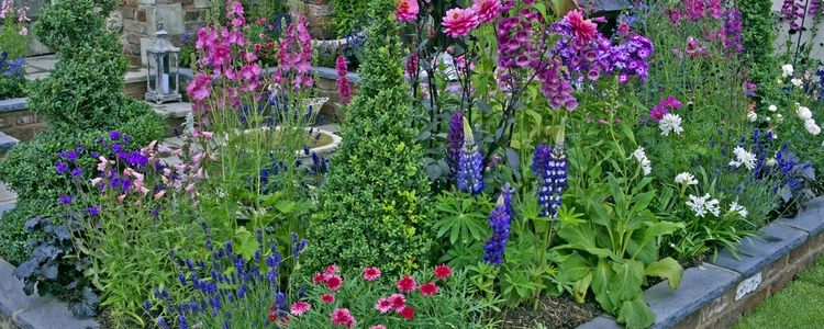 Verhoogde tuinborders maken