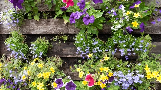vertikale pallet tuin
