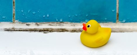 How to remove mold in the bathroom