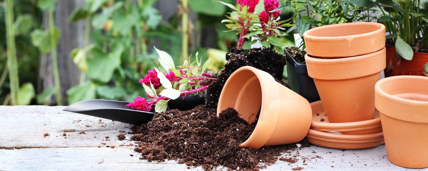 The benefits of a potting table